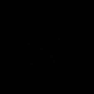 Meet your Posher, Malachi